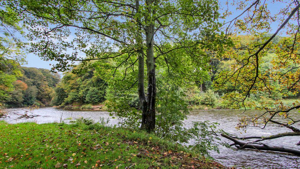 View of river at the end of the garden.
