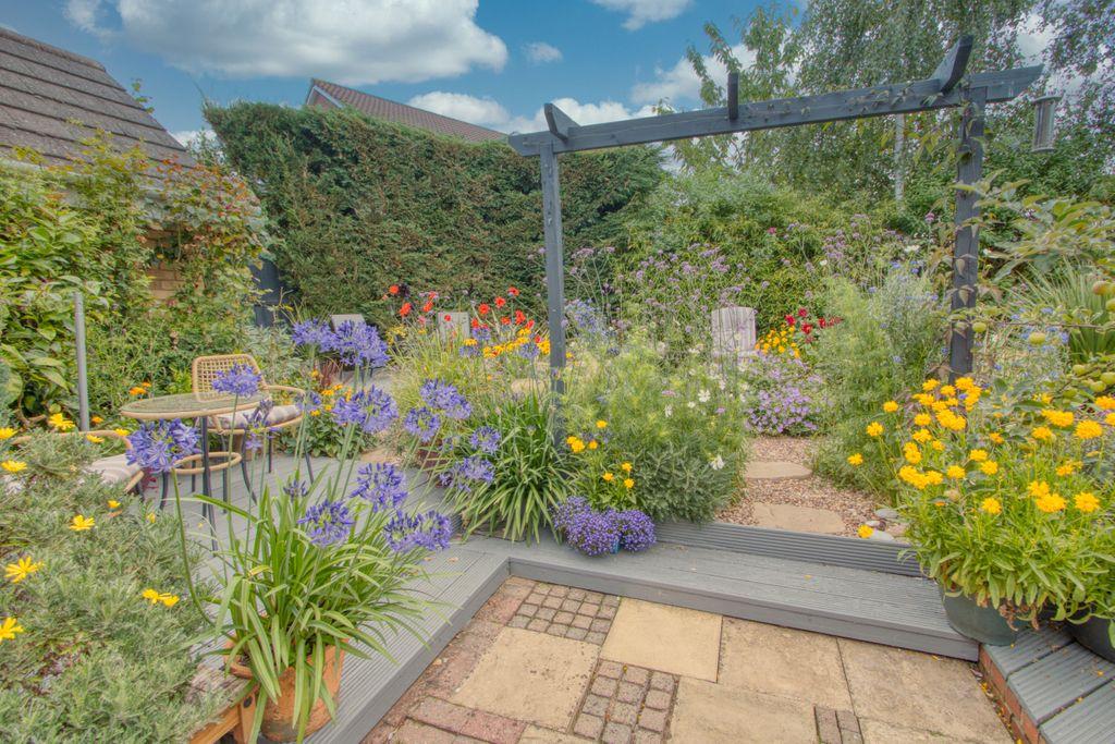 Garden at Back