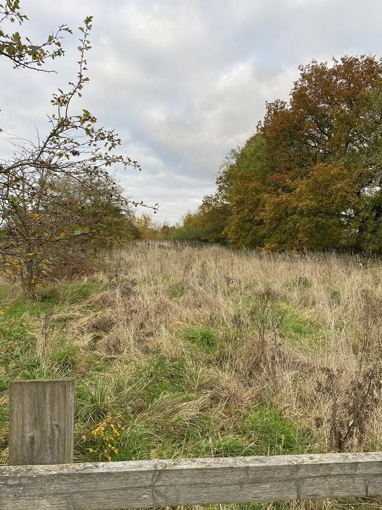 Shalford Road, Shalford Green Land £35,000