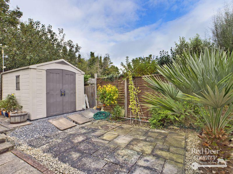 Shed/Patio