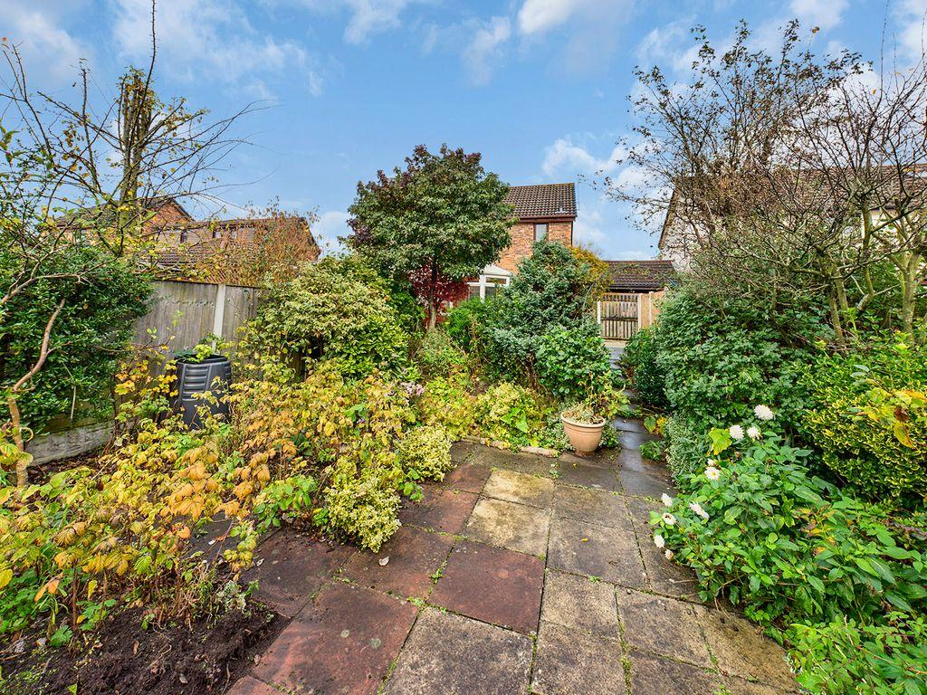 Garden at Back