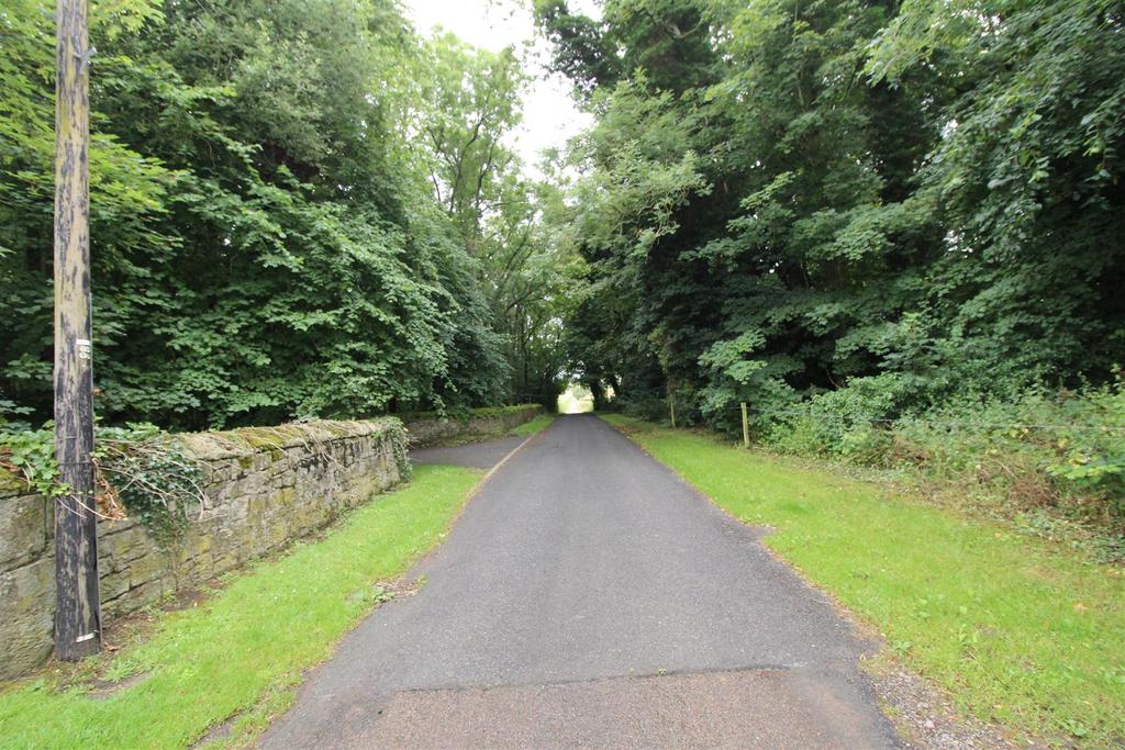 Access road.JPG