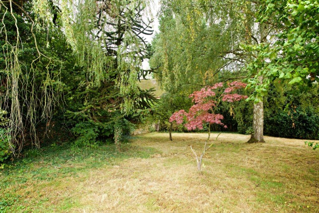 Grounds