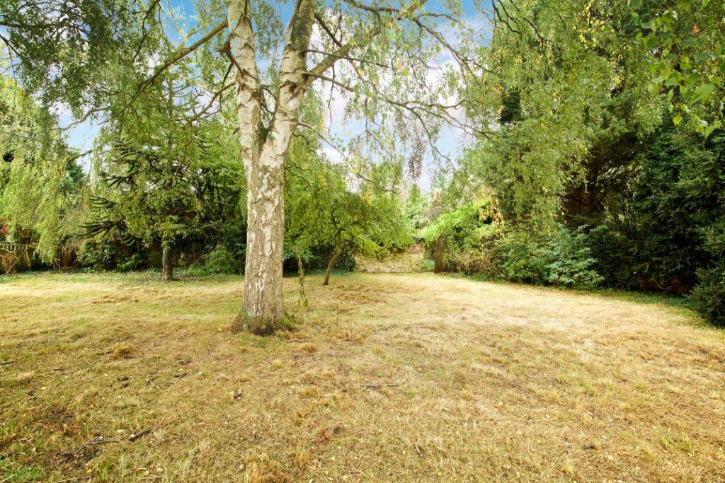 Grounds