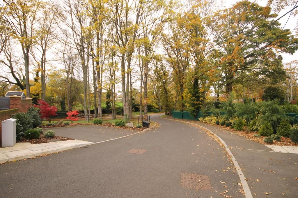 Access road