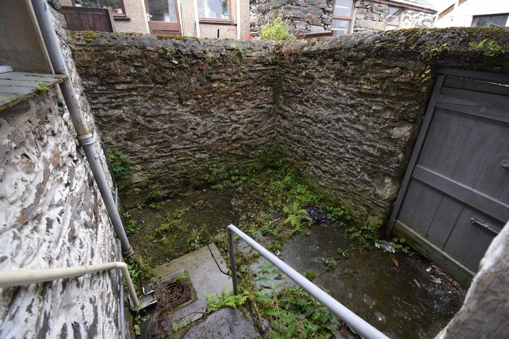 Side Yard.JPG
