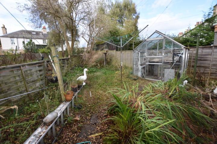 Rear Garden (Small).JPG