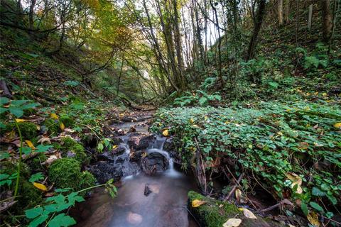 Land for sale - Woodland At Redpath, Redpath, Earlston, TD4