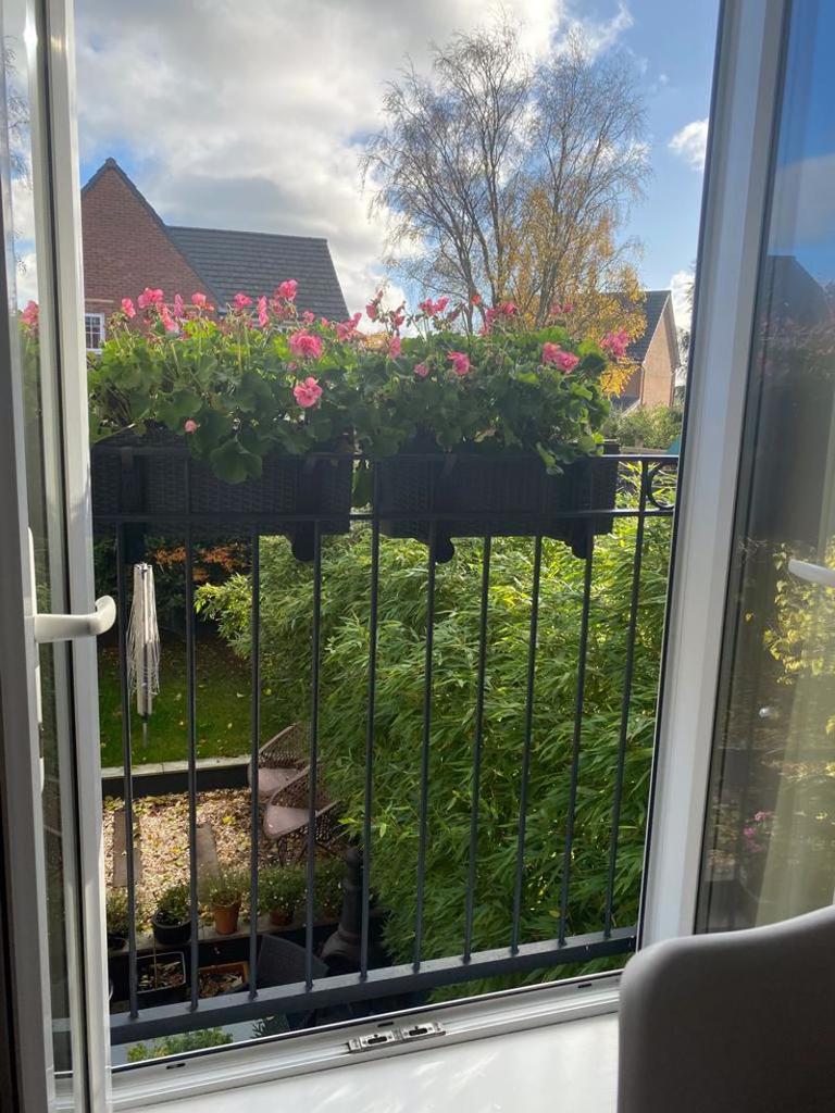 Juliette balcony