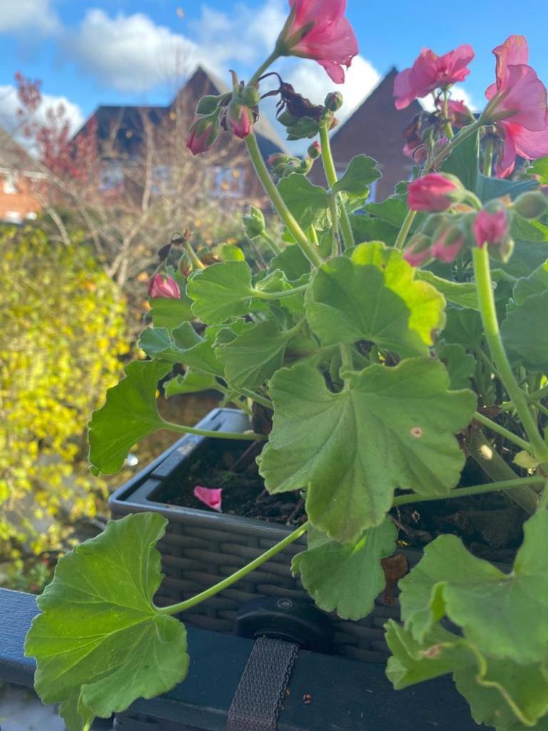 A sunny spot