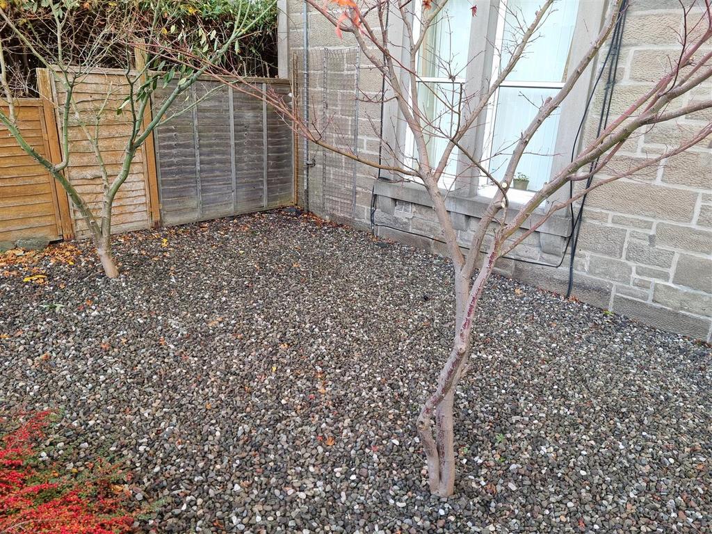 Garden 2.jpg
