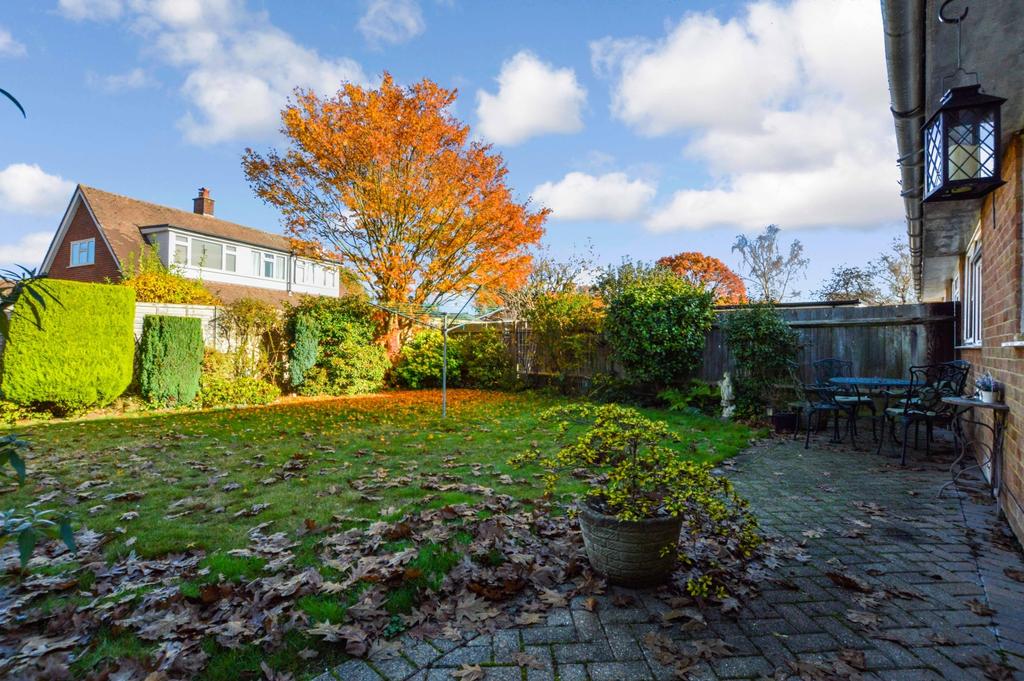 Garden 2