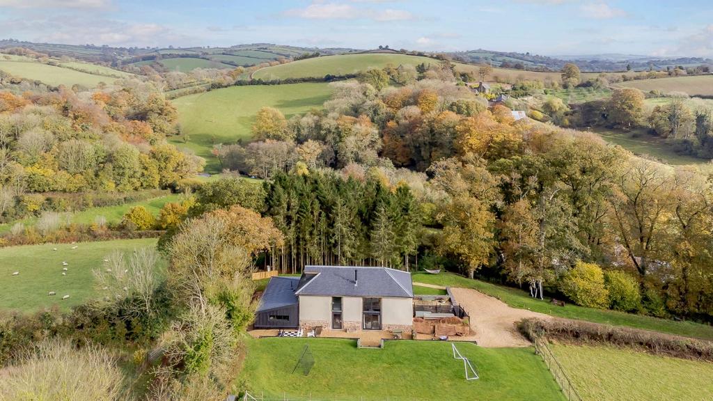 The Property