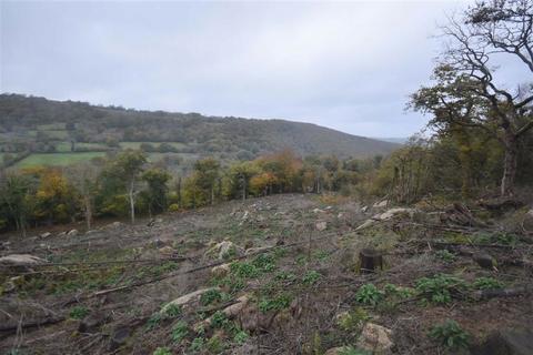 Land for sale - Bridford Wood, Moretonhampstead, Devon