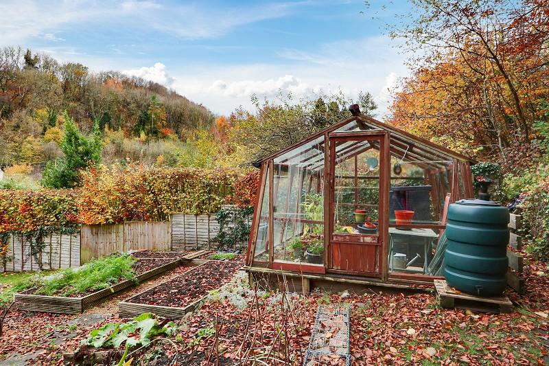 Vegetable Garden