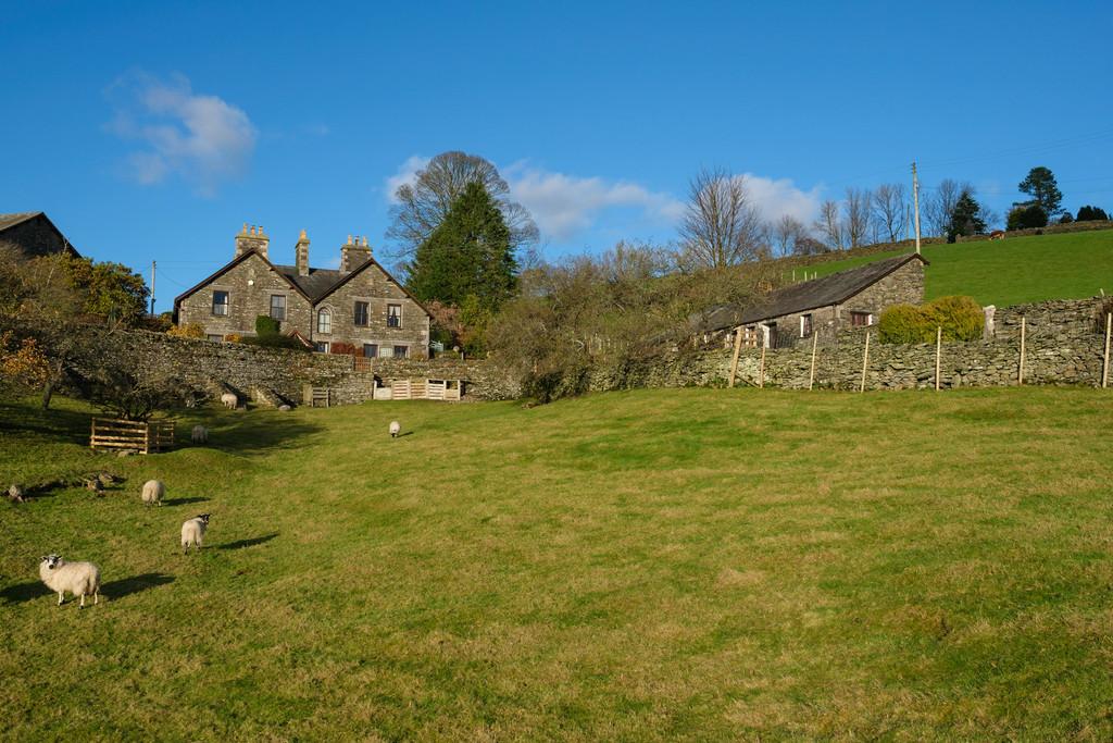 Paddock and house