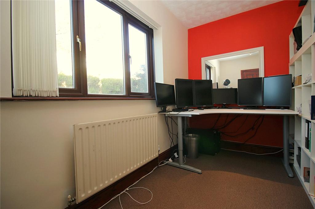 Picture 17