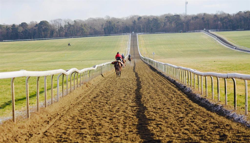 Warren Hill Gallops