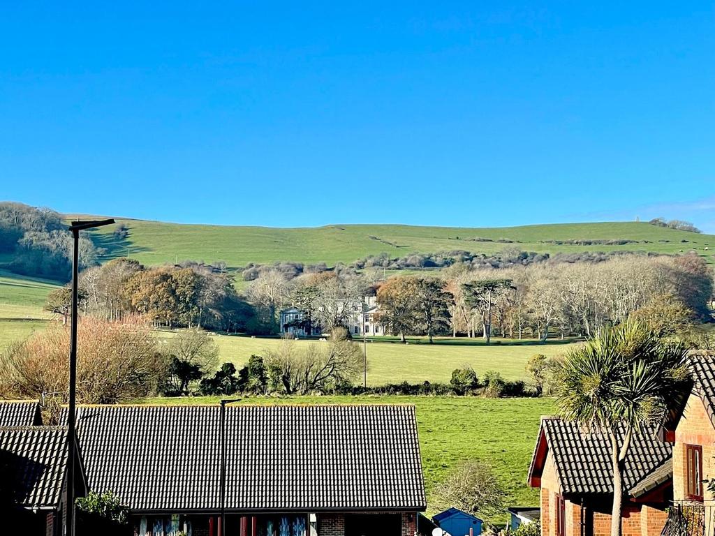 Downland Views