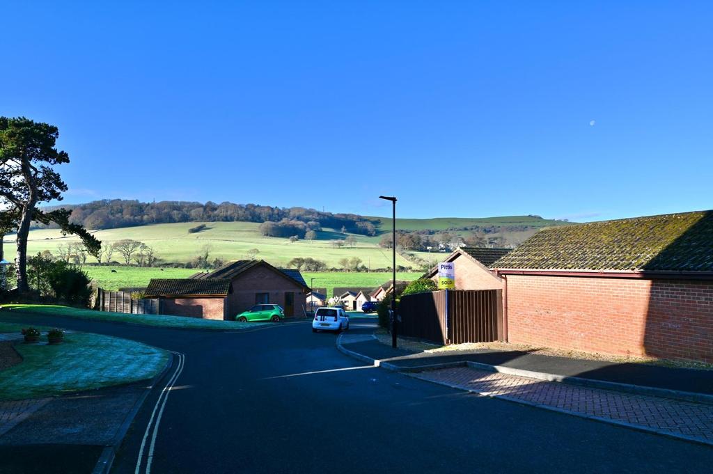 Downland Views