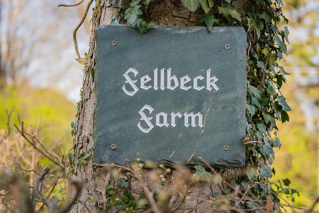 External detail, Fellbeck Farm