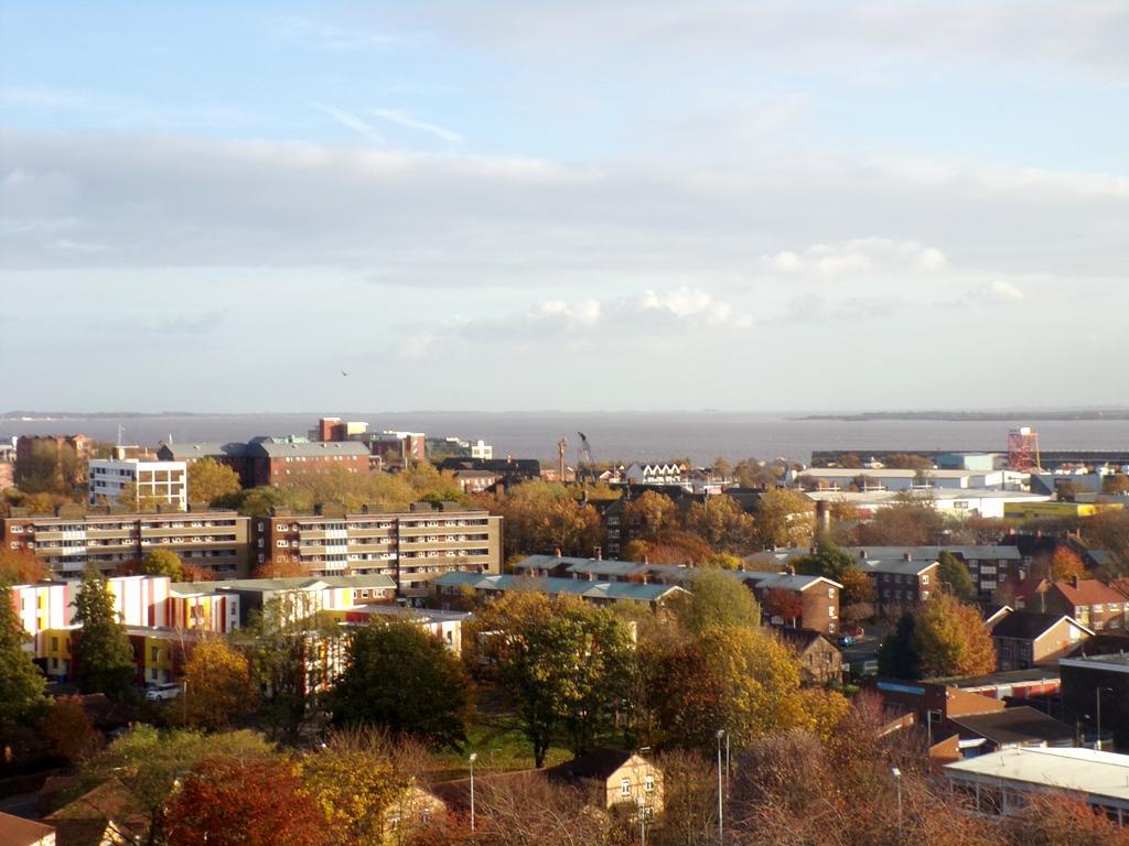 Vista