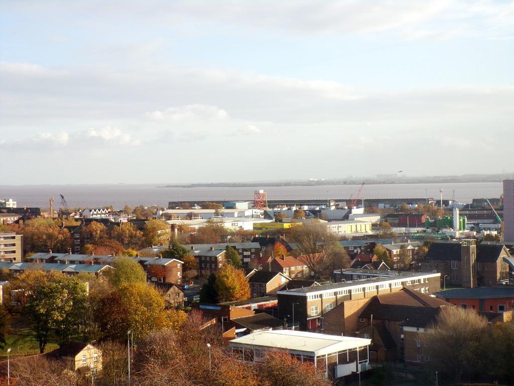Vista