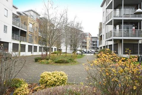 Kingfisher Meadow, Maidstone