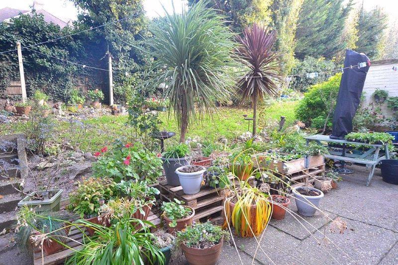 Communal Garden