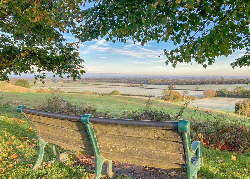 Bench at the...