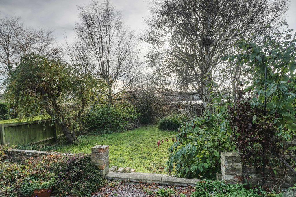 Garden at Back