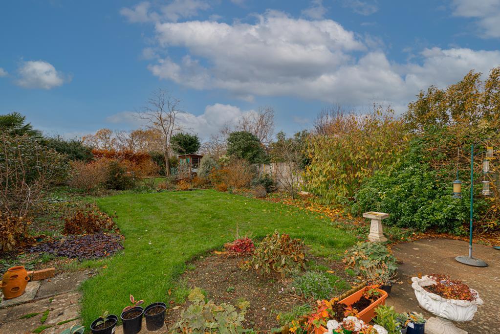 Garden 2.jpg