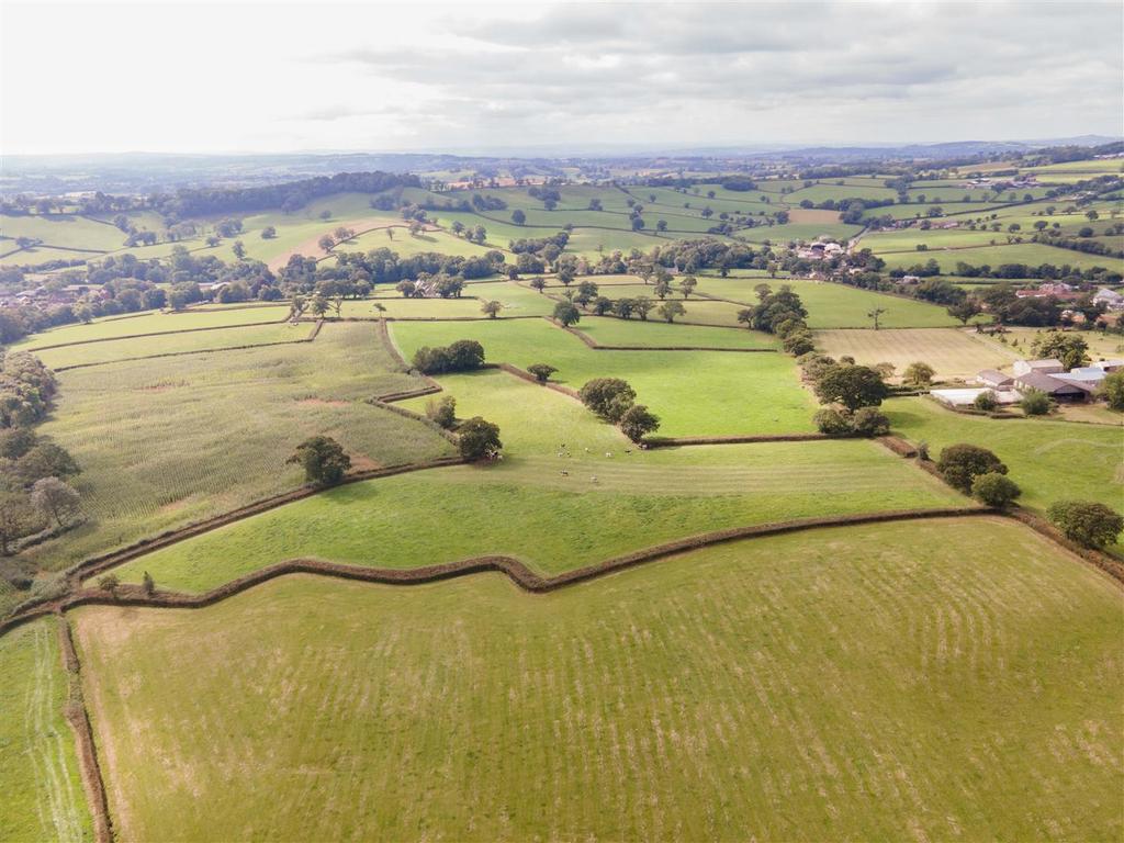 Lot 2g