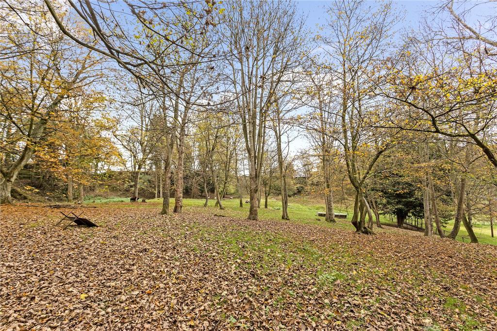 Woodland