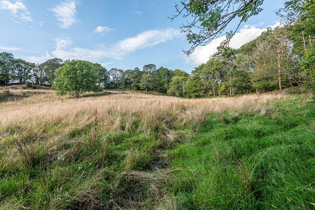 Adjoining Field
