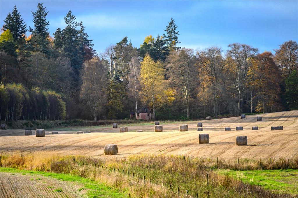 Paddock From East