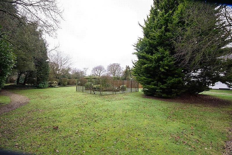 Communal Garden