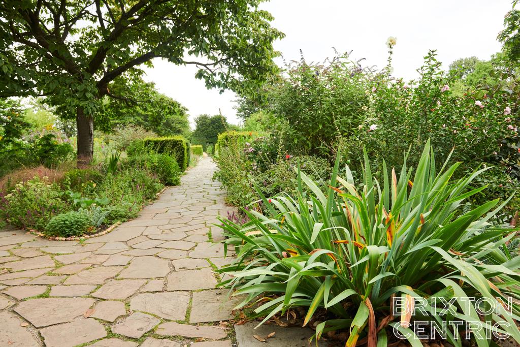 BROCKWELL 3036 HIGHRES.jpg