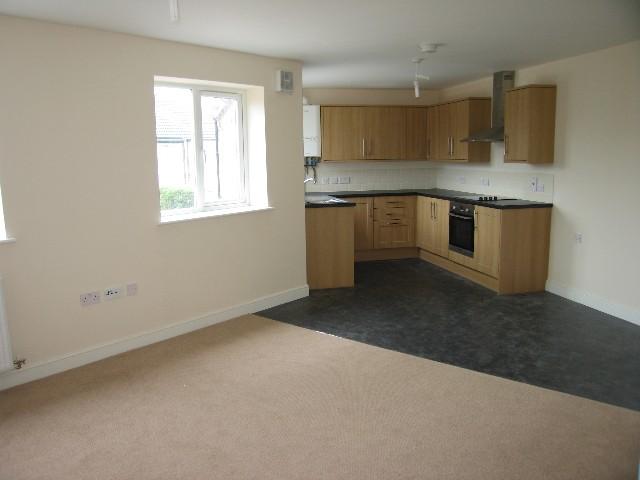 Lounge - kitchen