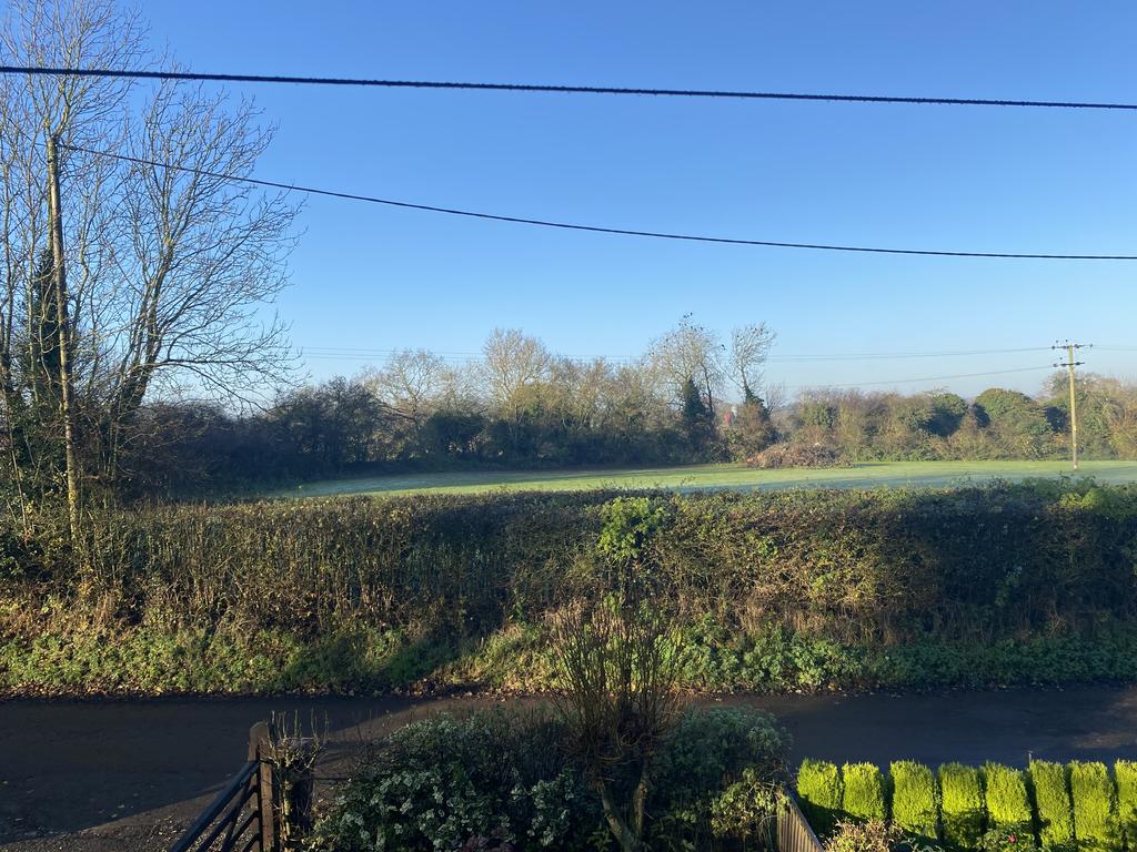 Field Views