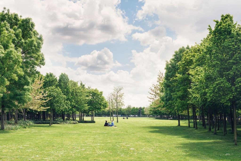 Central Park Summer to GMV.jpg