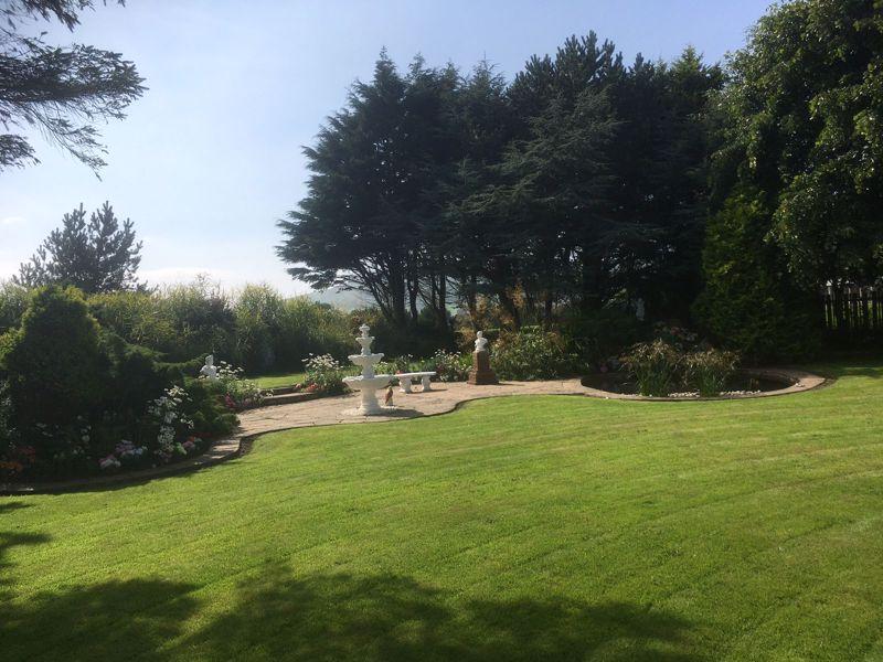 Meadow Court, The