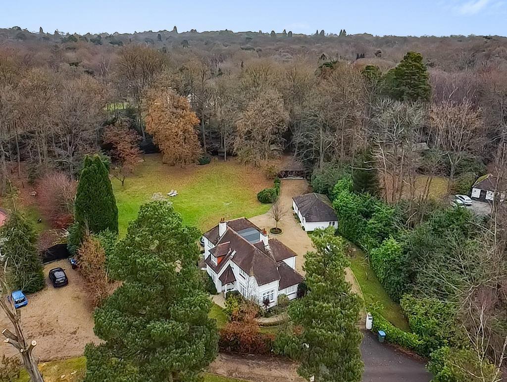 Drone View