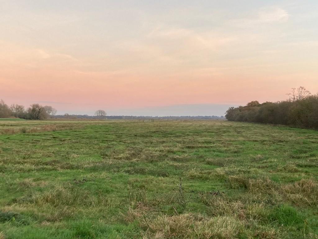 Agricultural Marshes at Rockland St Mary Land £80,000
