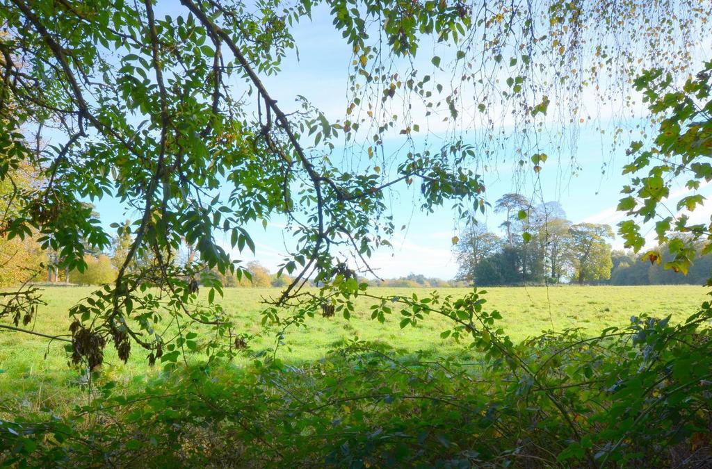Fields