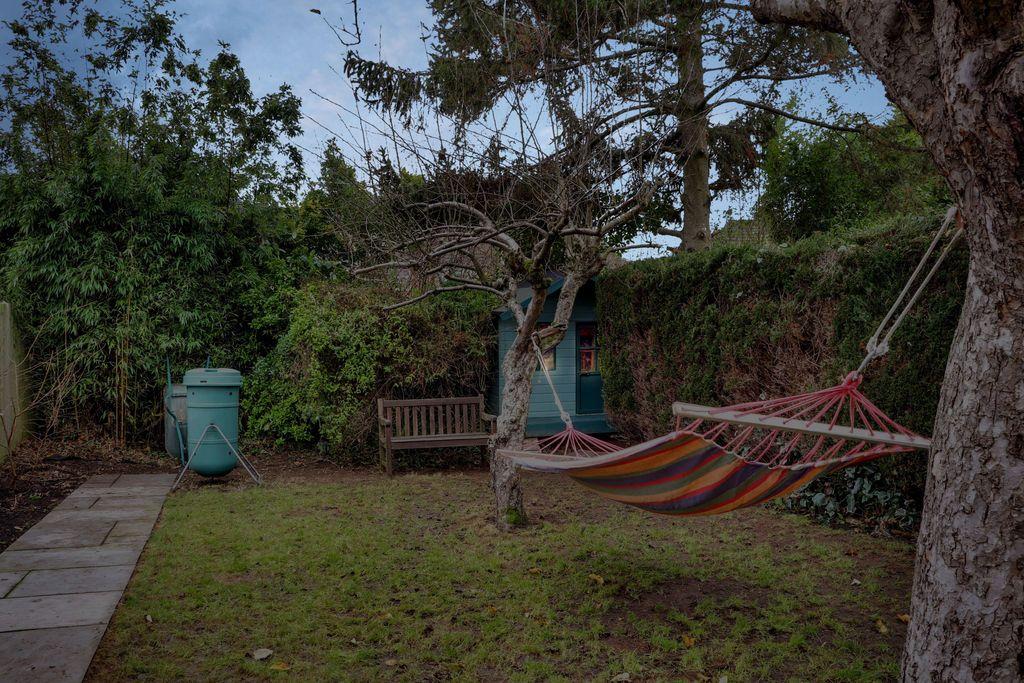 Garden at Back