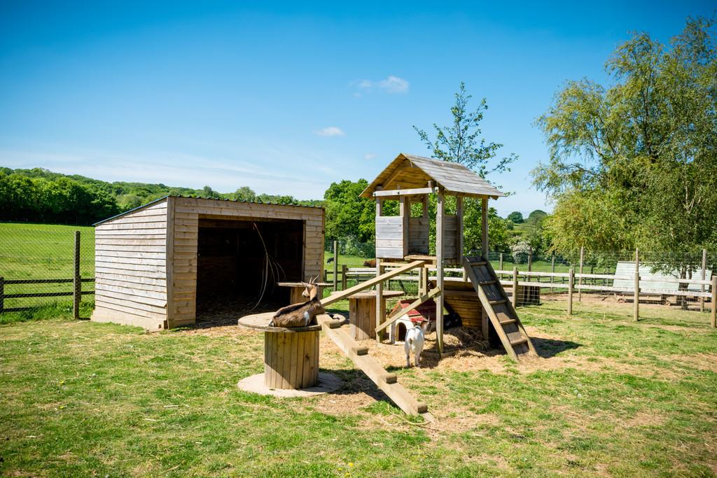Mini farm