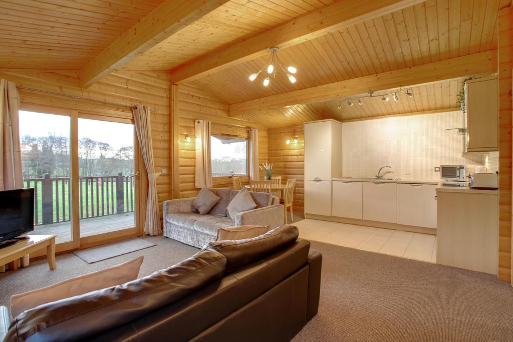 Living and kitchen area