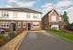 3 mimosa close Epsom1.jpg
