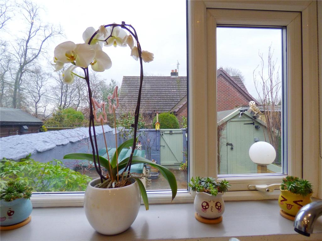 Kitchen View